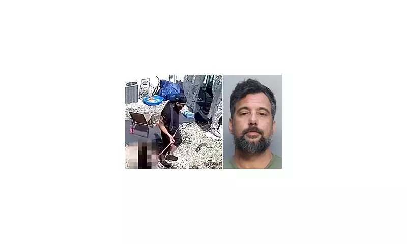 Marine Corps Veteran's Son Forced to Wear Dog Collar in Boot Camp: Shocking Abuse Allegations