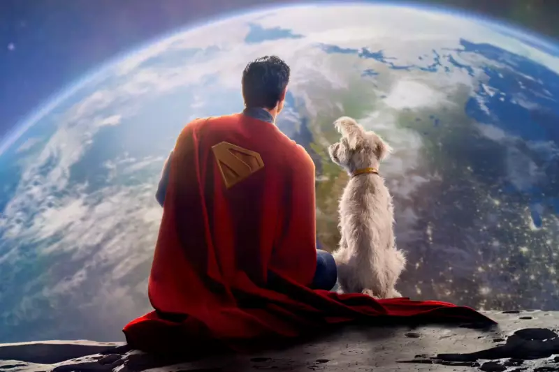 Meet Krypto: The Adorable Schnauzer Who’s Helping Shelter Dogs Find Forever Homes