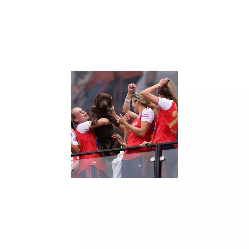 Meet the Adorable Pets of England's Lionesses – From Dogs to Cats and More!