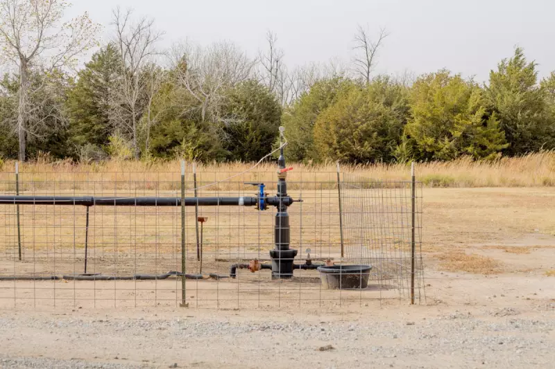 Microsoft Explores Human Poop as Surprising Solution to Reduce Carbon Footprint