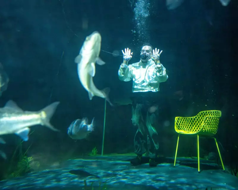 Mikel Murfi's 'Oh' Delivers a Masterclass in Storytelling at Galway Festival