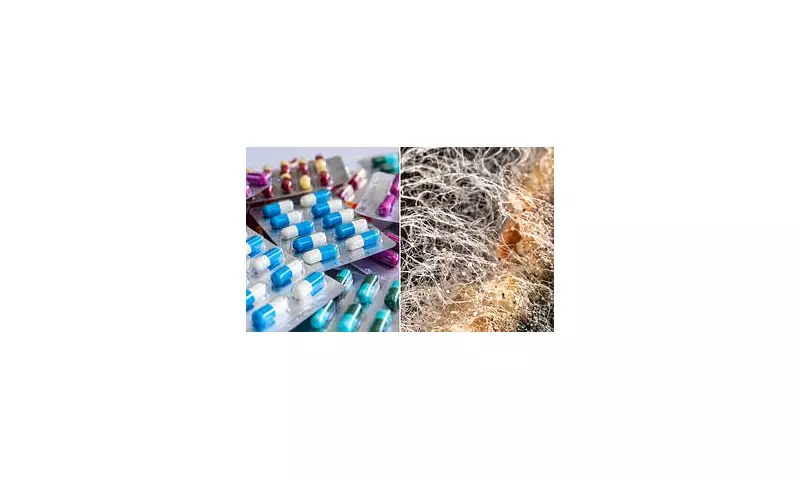 Millions Wrongly Believe They're Allergic to Penicillin – New Trial Offers Hope