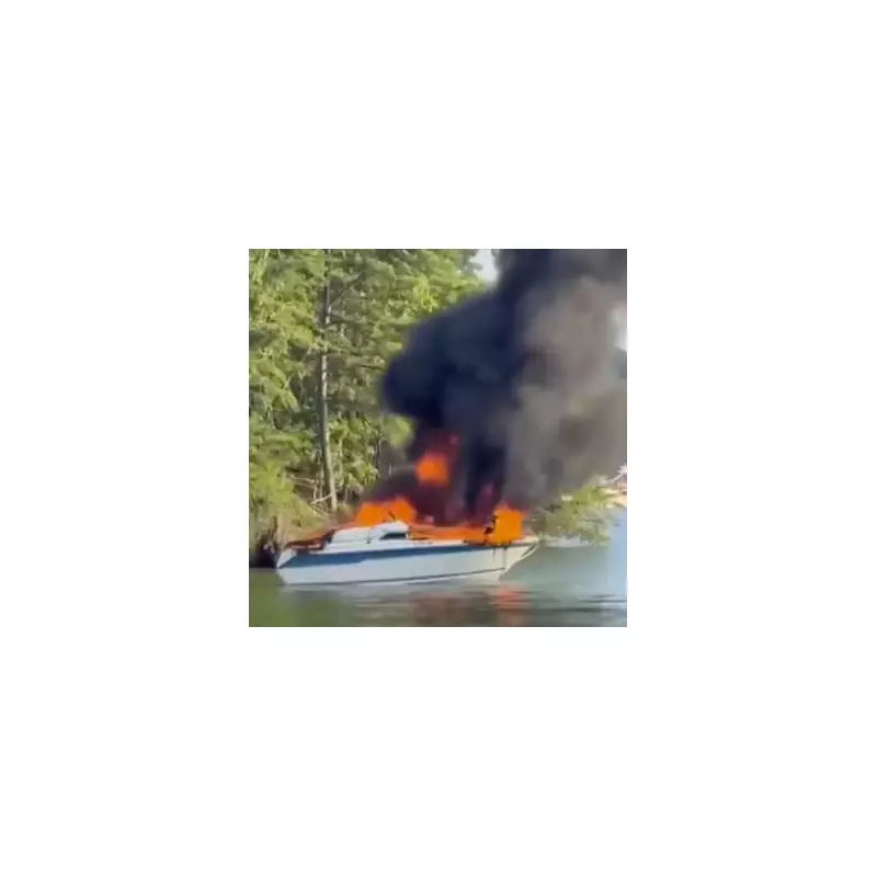 Miracle in the Jungle: Four Children Survive 40 Days After Plane Crash in Amazon