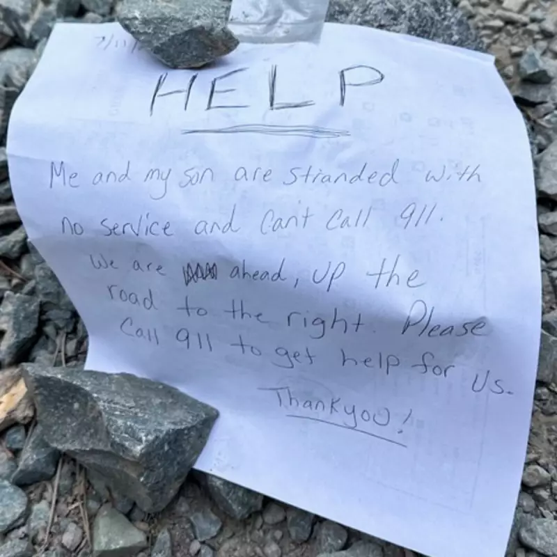 Mother and Son Found Alive After 10 Days Lost in California Forest