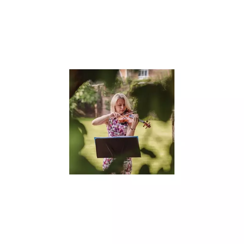 Musician Slams 'Appalling' Artist Rider Demands: 'No Brown M&Ms' Clause Sparks Debate