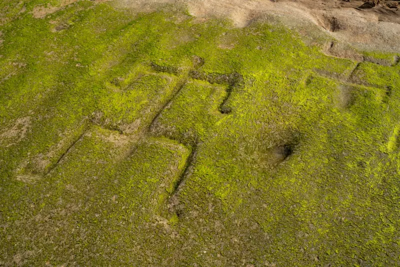 Mysterious Petroglyphs in Waianae: Ancient Hawaiian Carvings Baffle Experts