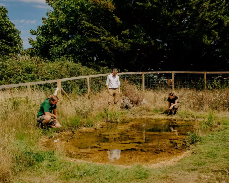 National Trust and Lottery Fund Launch £3.4m Initiative to Bring Nature Back to UK Towns and Cities