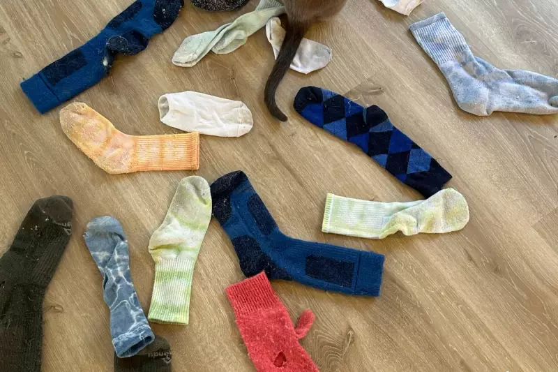 New Zealand's North Island Rocked by 5.7 Magnitude Earthquake Near Wellington