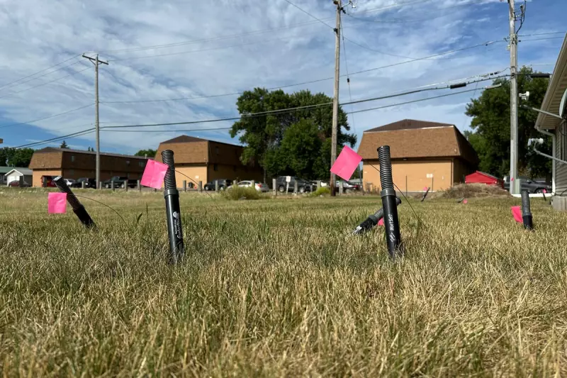 North Dakota's Richardson Ground Squirrels: A Charming Wildlife Phenomenon
