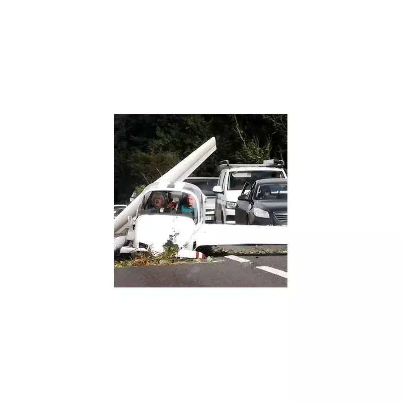 Pilot's Shocking Move: Switched Off Controls Seconds Before Fatal Crash