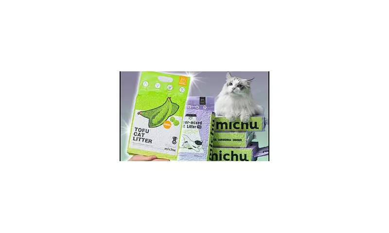 Prime Day Purr-fect Deals: Top Cat Food & Pet Supplies on Amazon You Can't Miss