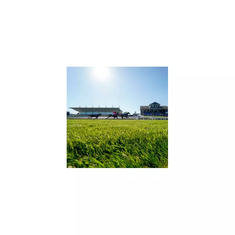 Racing Tipsters' Top Picks: Today's Best Bets for Horse Racing Enthusiasts