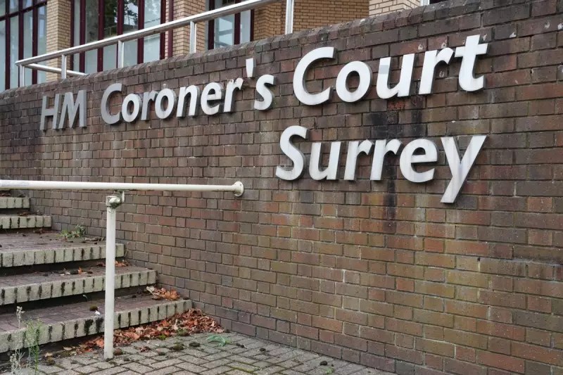 Rare Australian Spider Found in Surrey Supermarket Bananas Sparks Health Alert