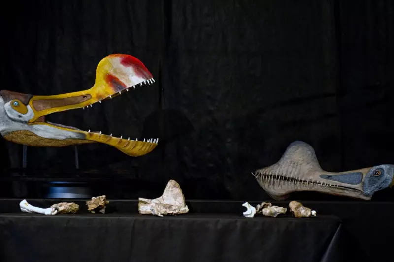 Rare Fossil Reveals Pterosaur's Surprising Plant-Based Diet