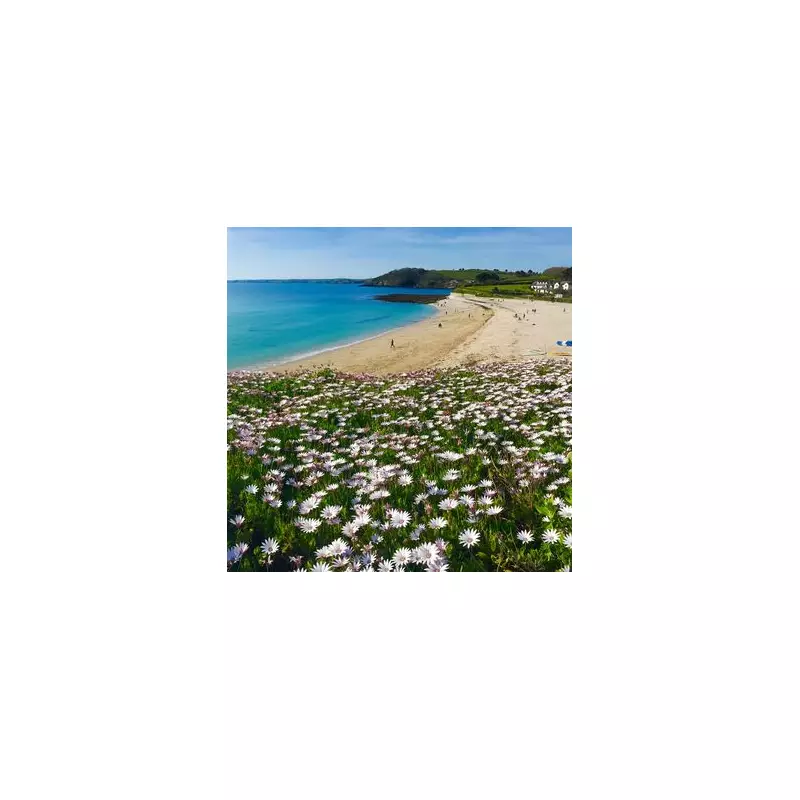 Revealed: The Best Seaside Towns to Live in the UK – Coastal Gems You'll Love