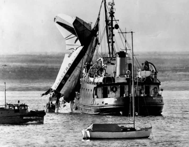 Rising Bird Strikes at UK Airports: A Growing Threat to Aviation Safety