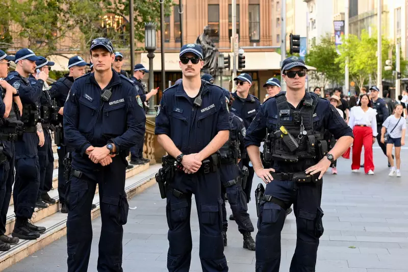 Search Intensifies for Missing Plane in Australia's Snowy Mountains