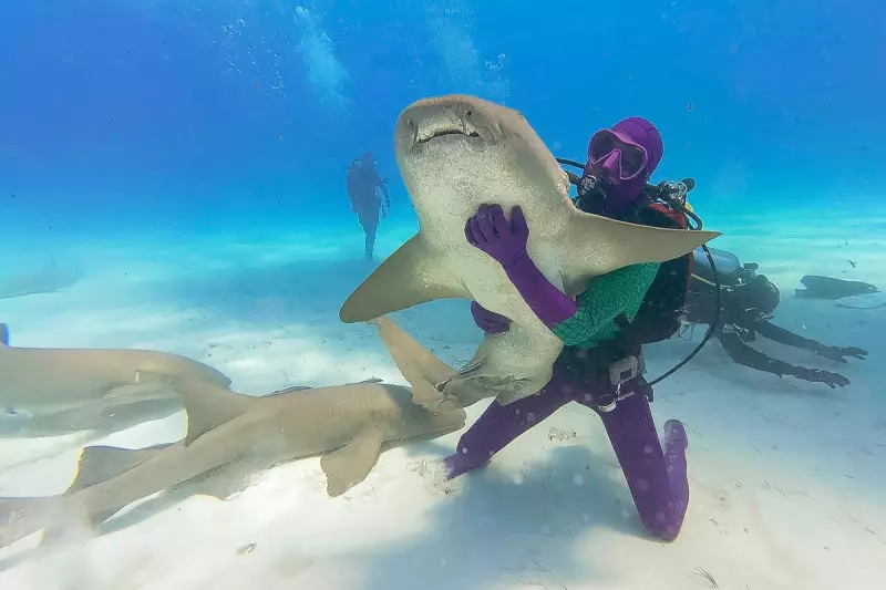 Shark Week 2024: Discovery Channel Unveils Thrilling Line-Up with Rare Great White Footage