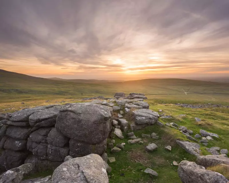 Sheep Farming on Dartmoor: How Taxpayers Fund Habitat Destruction