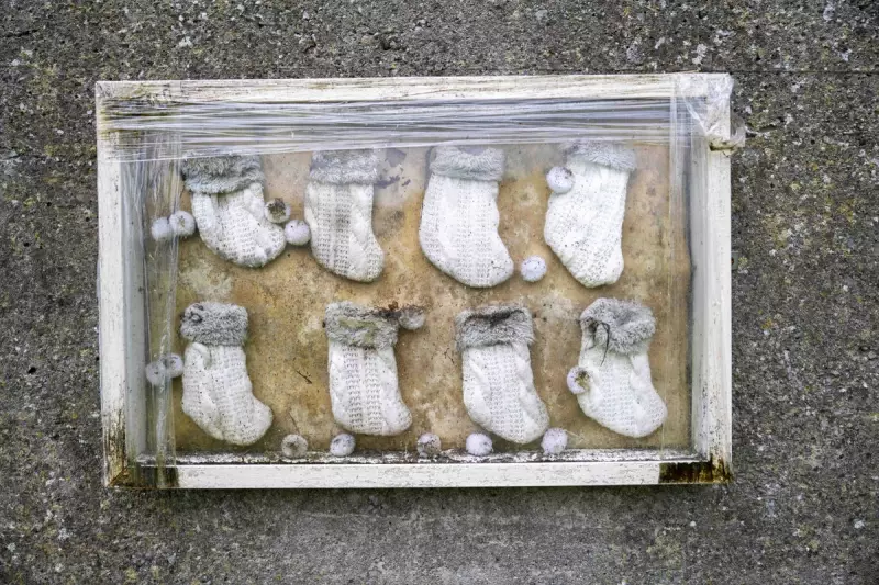 Shocking Discovery: Hundreds of Infant Remains Found at Former Irish Mother and Baby Home