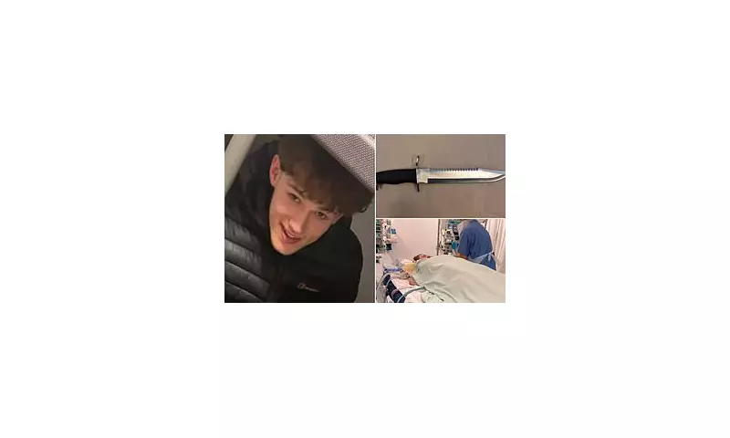 Shocking Moment Gang of Boys Brandishing 'Rambo' Knife Are Pictured After Fatal Stabbing of Teen