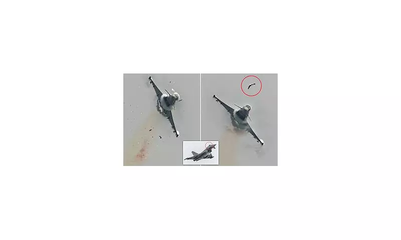 Shocking Moment: Seagull Smashes into £73m Eurofighter Jet at Airshow, Shattering Cockpit