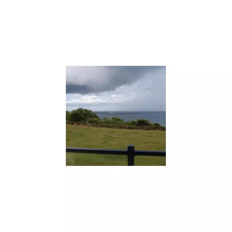 Shocking Moment: Tourist Films Two Sharks Circling Near UK Beach – Are They Dangerous?