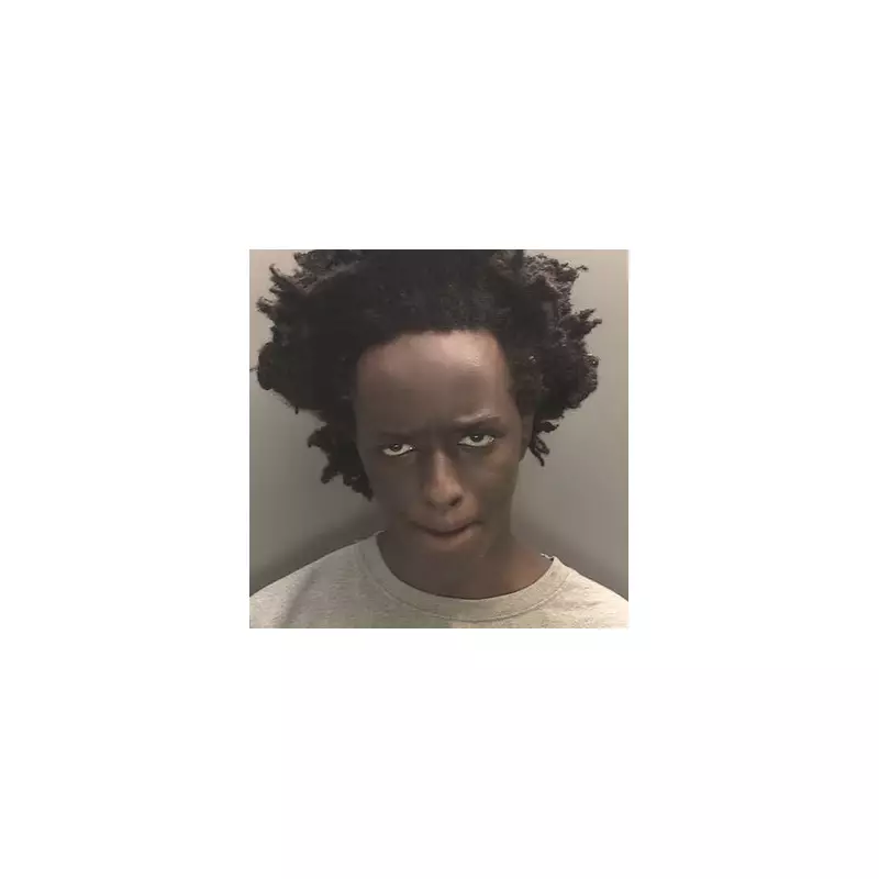 Southport Stabbing Victim's Harrowing Five-Word Plea Before Tragic Death