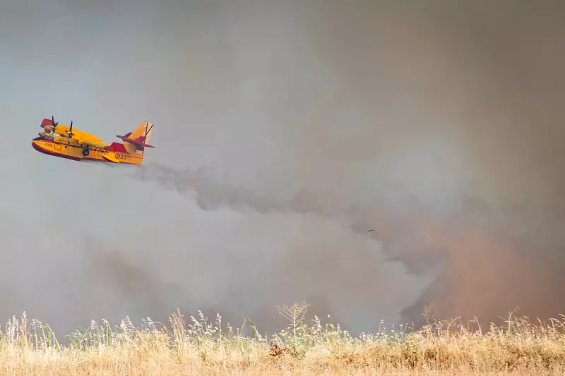 Spain's Bold Move: Madrid to Scrap All Covid Travel Restrictions