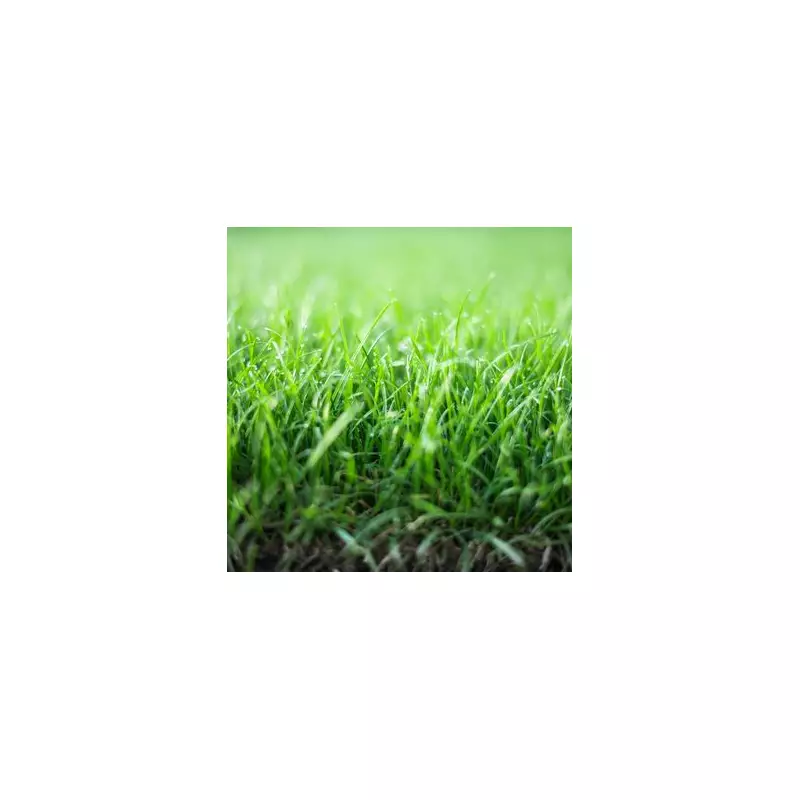 Sprinkle This Common Kitchen Staple in Your Garden for Healthier Plants