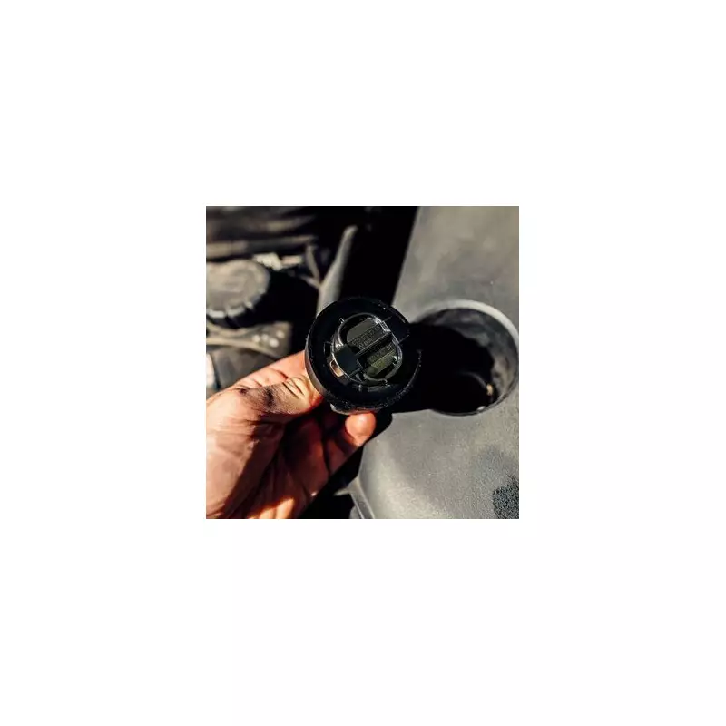 Stop 'Black Death' in Your Engine: Expert Tips to Prevent Costly Repairs