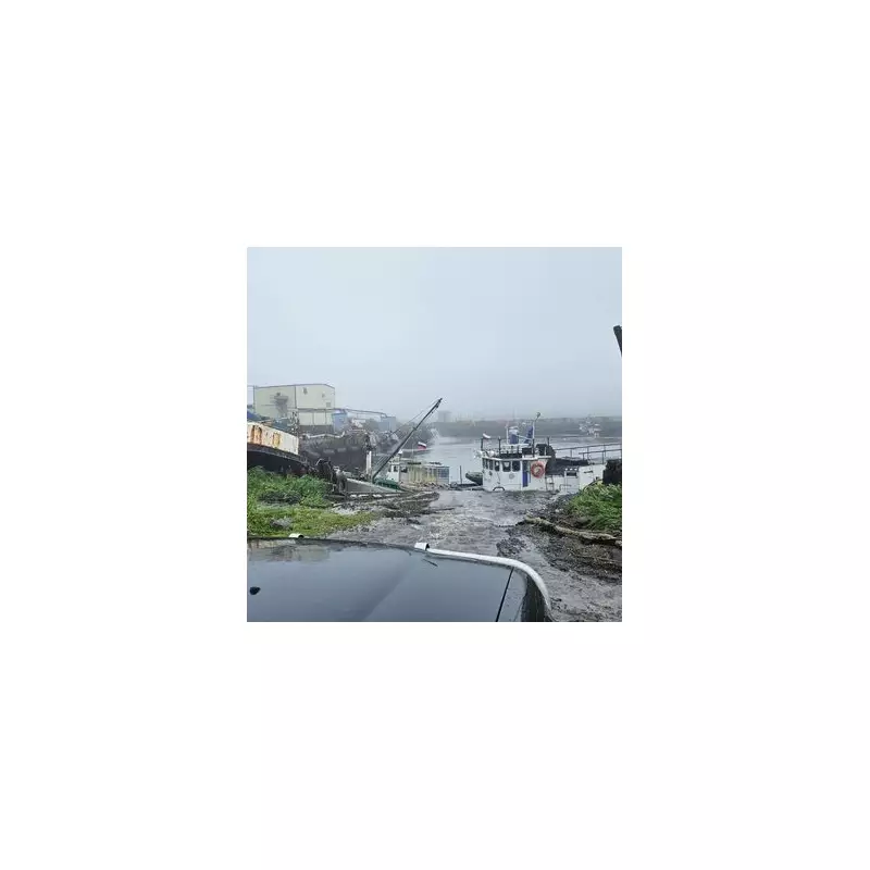 Survival Expert Reveals How to Stay Safe During Extreme Weather Events