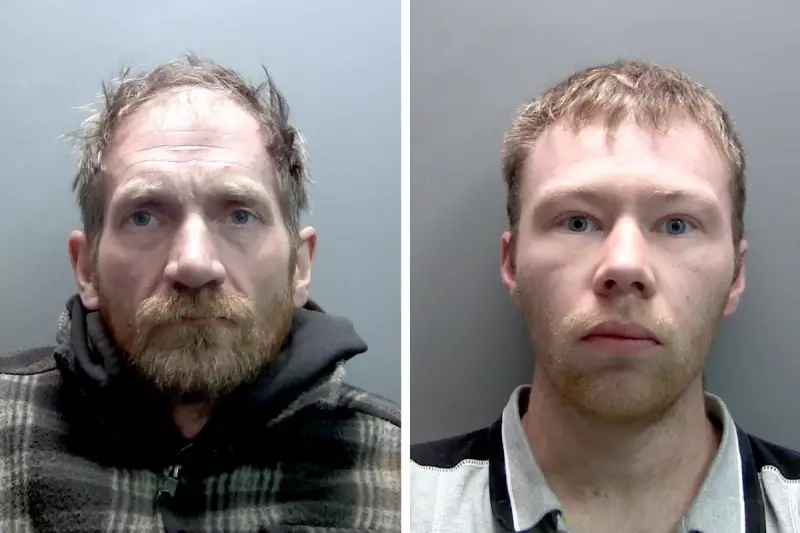 Sycamore Gap Tree Vandals Jailed: Shocking Details of the Nighttime Crime