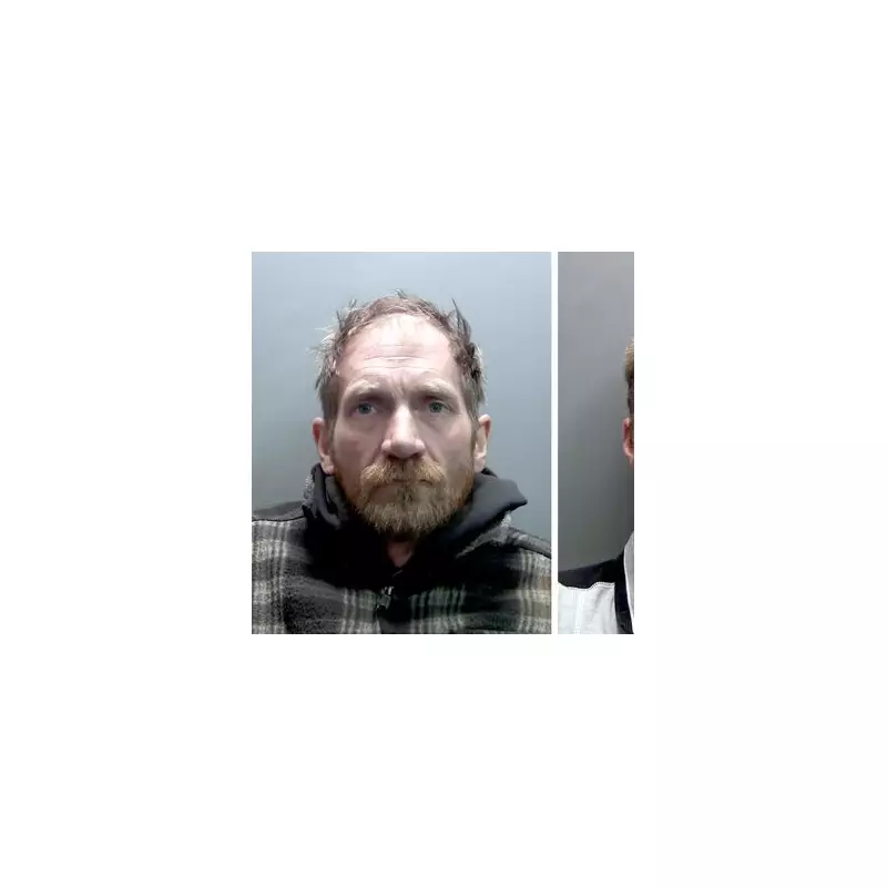 Sycamore Gap Vandals Finally Reveal Shocking Reason Behind Tree Destruction