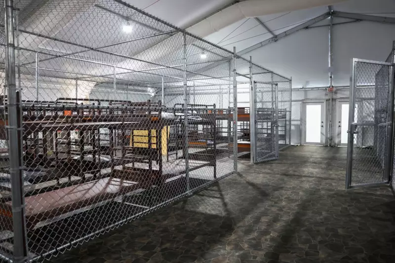 Teenager's Daring Escape from Alcatraz-Style Facility with Alligator in Tow Shocks Authorities