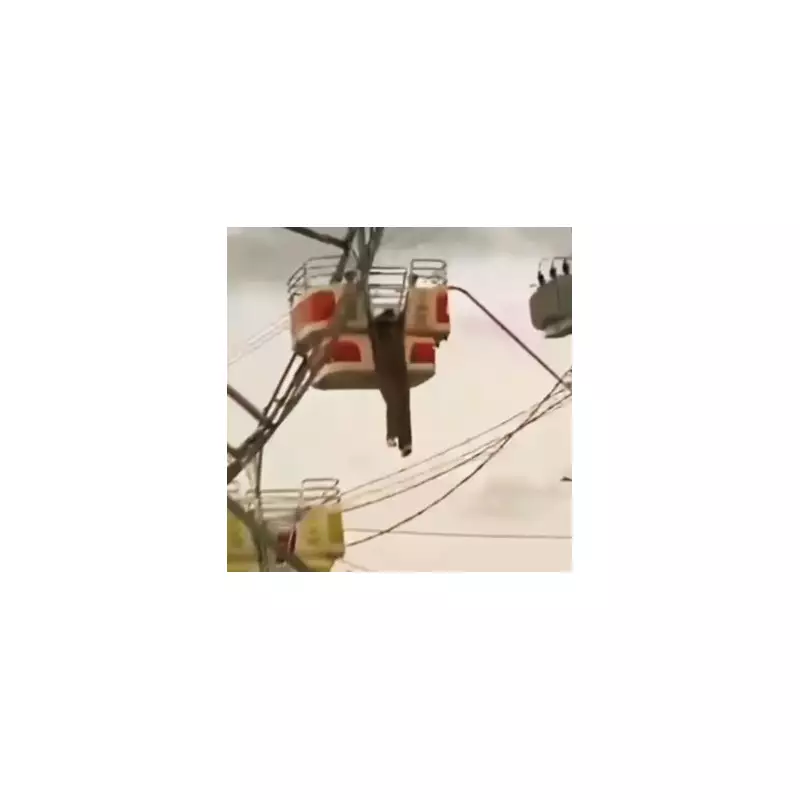 Terrifying Moment: Woman Screams 'I'm Going to Die' as Car Plunges into River