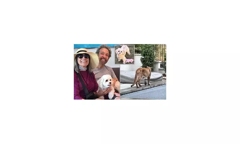 Terrifying Mountain Lion Attack in Colorado Leaves Beloved Dog Dead