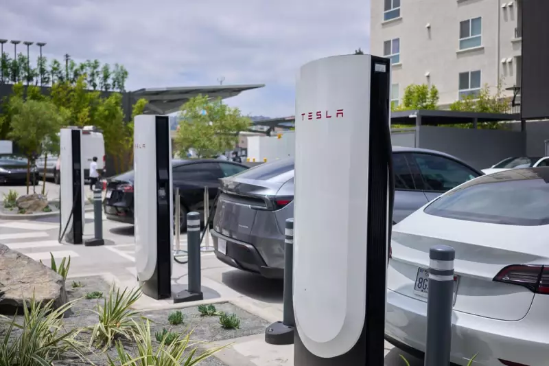 Tesla Q2 Earnings Fall Short: Elon Musk Faces Investor Scrutiny Amid Declining Sales