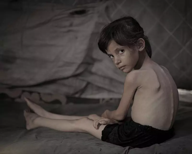 The Mathematics of Starvation: How Israel Engineered Gaza's Famine