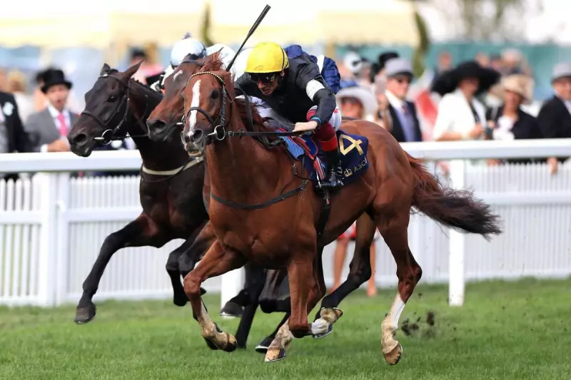 Thrilling Horse Racing Results: Key Highlights and Surprises from the Latest Races