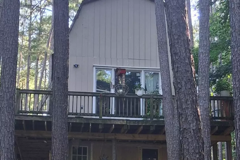 Tiny House Revolution: How Home Depot and Amazon Are Making Compact Living More Accessible