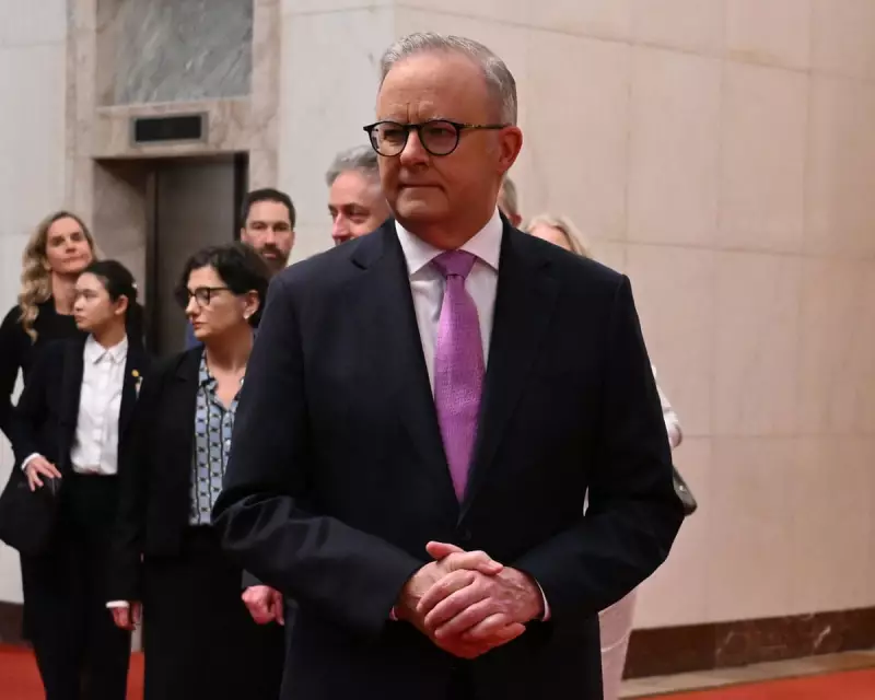 Tony Burke Faces Backlash Over Advance Australia Antisemitism Report as Albanese Meets Xi Jinping