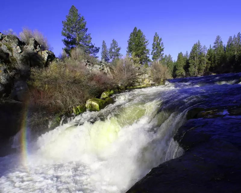 Tragedy at Oregon Waterfall: Tourist Swept to Death in Shocking Accident