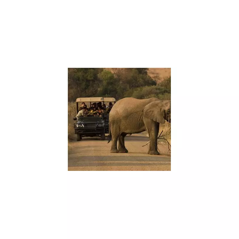 Tragedy Strikes: Beloved British Teacher Trampled to Death by Elephant on Dream Safari