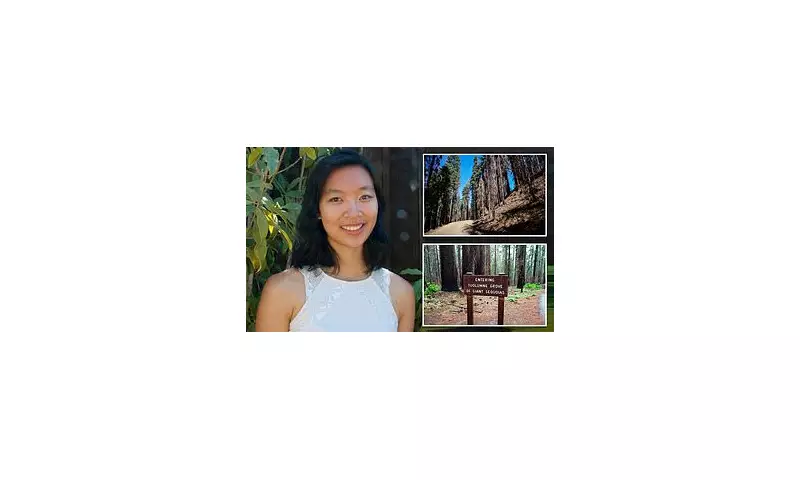 Tragic Accident in Yosemite: Google Engineer Dies After Falling from Tree