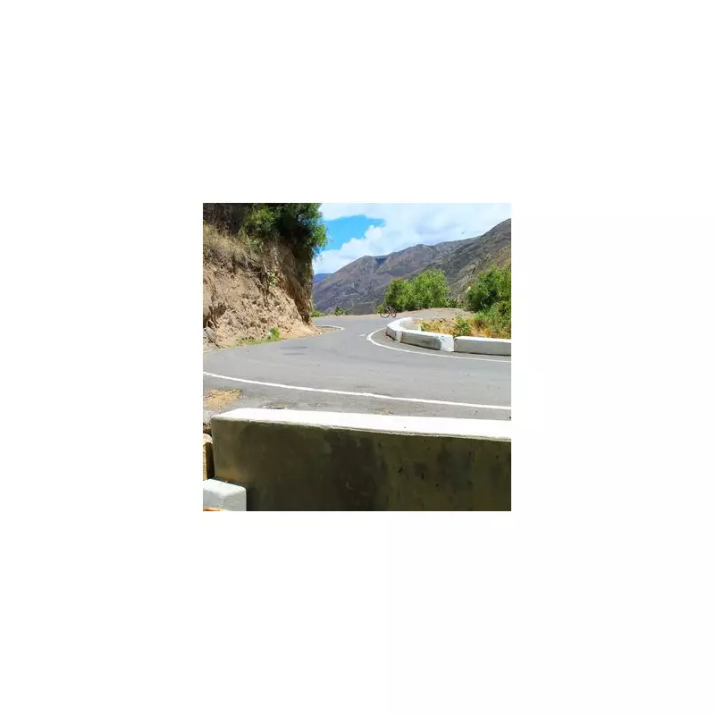 Tragic Bus Crash in Westminster Leaves Multiple Dead and Injured – Latest Updates