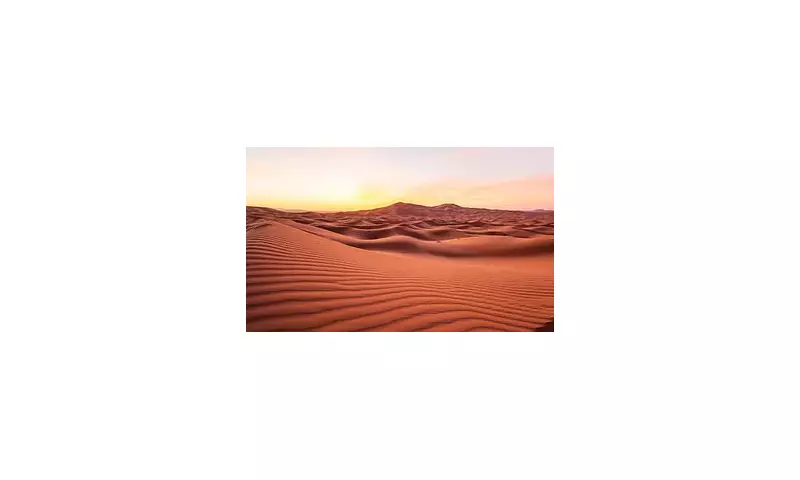 Tragic Sacrifice: French Couple Forced to Abandon Son in Sahara Desert to Survive