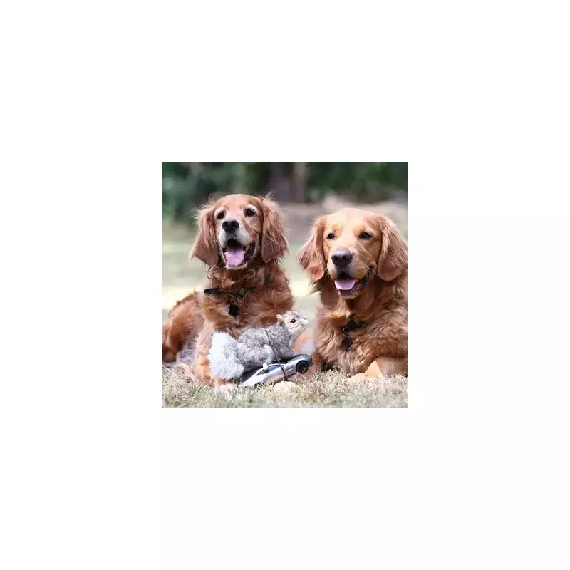 Trainer's Genius Trick to Stop Your Dog Pulling on the Lead – It's All in the Collar!