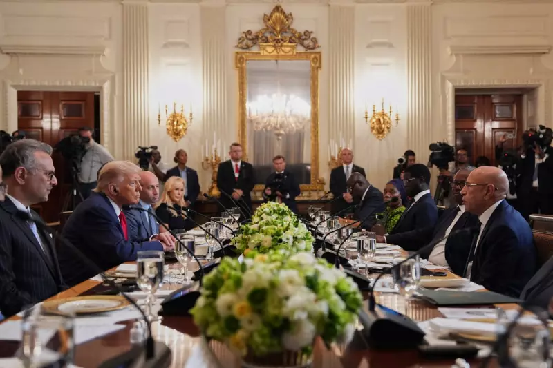 Trump Sparks Outrage with Controversial Remarks on South Africa and US Trade