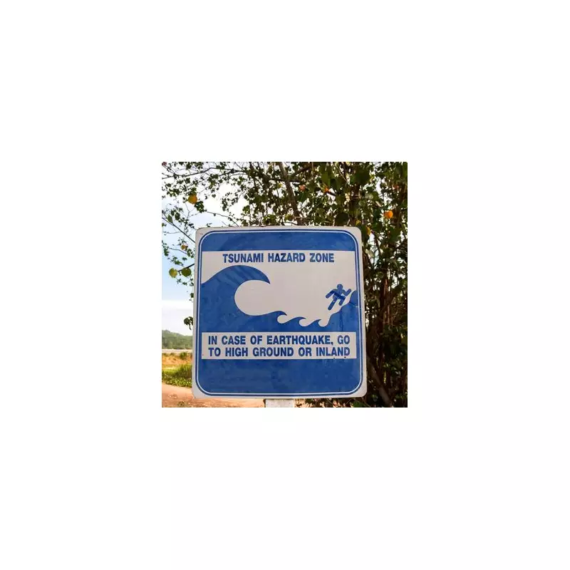 Tsunami Survival Guide: Essential Tips to Stay Safe When Disaster Strikes